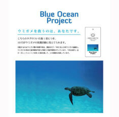 ブルーオーシャンプロジェクトに取り組んでいます